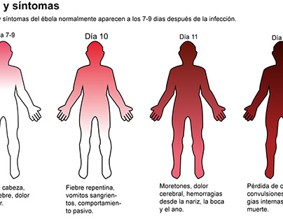 Etapas y síntomas del ébola