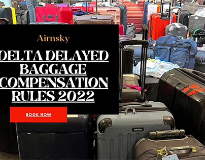 Delta Delayed Baggage Compensation Rules 2022
