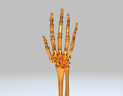 3D Skeletal Hand