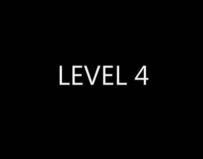 Level 4 projects