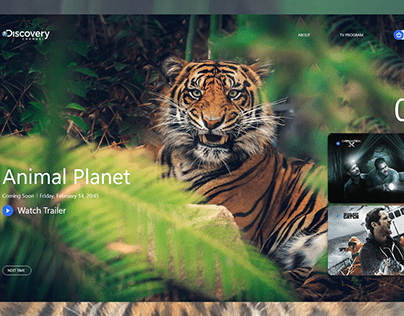 Discovery Channel UI & UX Design