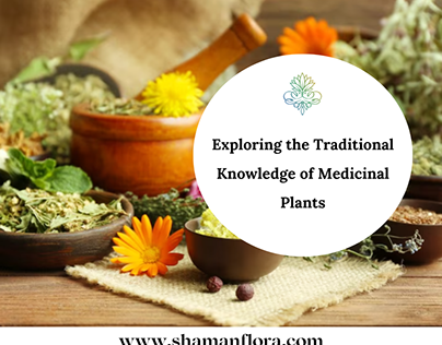 Exploring the Traditional Knowledge of Medicinal Plants