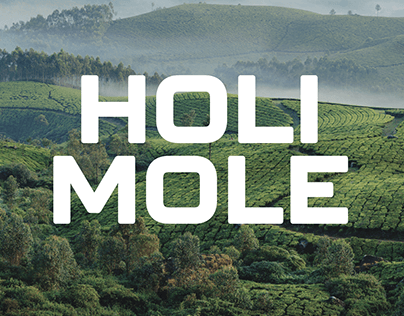 Holi Mole | Fusion Restaurant