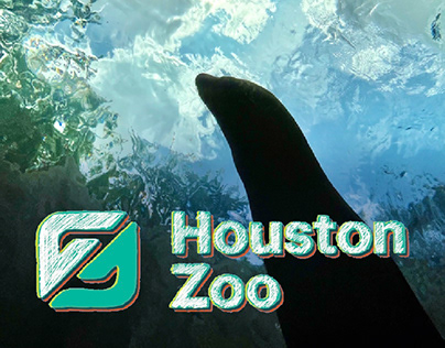 Houston Zoo Carousel