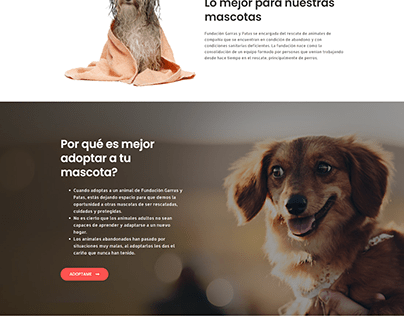 Pagina Fundación Perros