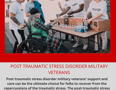 Post Traumatic Stress Disorder Military Veterans