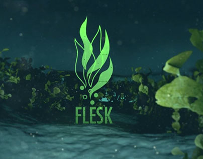 Flesk Visual Branding