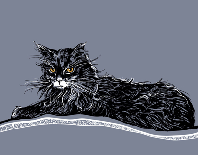 Cat Illustrations
