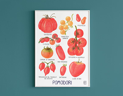 Pomodori - Food Illustration