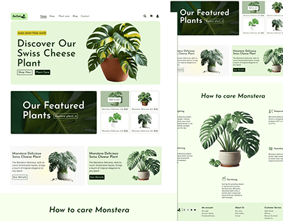 Monstera Plants DeOok E-commerce website Desgin