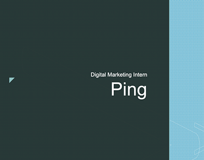 Digital Marketing Intern at Ping