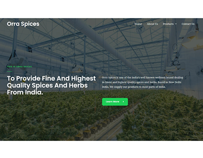 Portfolio | Spices Website | Dazronix Solutions