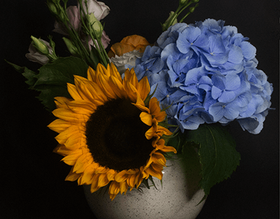 Photography // Bouquet of flowers