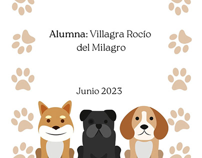 Sustentabilidad y Sostenibilidad by Rocio Villagra/UNT