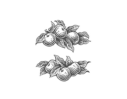 Engravings for logotypes