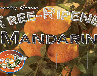 Tree Ripened Mandarins