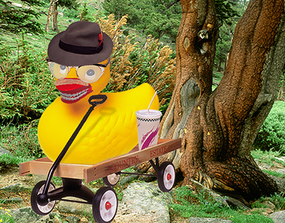 Goofy duck in a Wagon