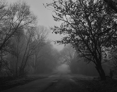 Foggy roads in Belarus