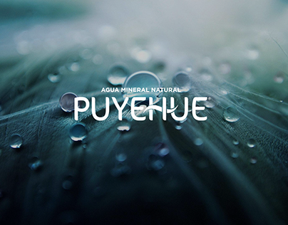 Agua Mineral Puyehue