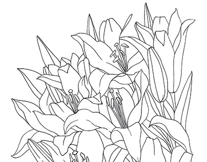 Flowers. Illustrations for coloring