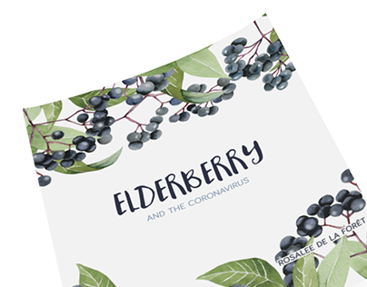 Elderberry Mini Book