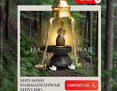 Narmadeshwar Shivling / Shivansh Narmada Shivling
