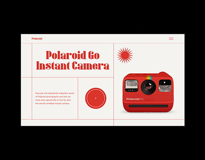 Polaroid Website