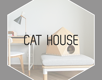 CAT HOUSE (FREE)