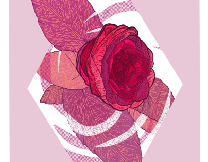 Full colour Camellia Flower