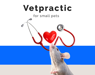 Project thumbnail - Vetpractic for small pets | UX/UI Design Case