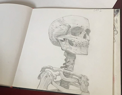 Skeleton Drawings