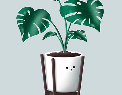 Plant in a pot