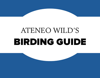 Ateneo Wild's Birding Guide