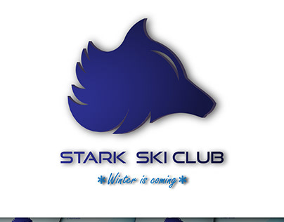 stark ski club