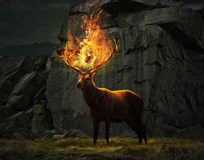 Fantasy Flaming Deer