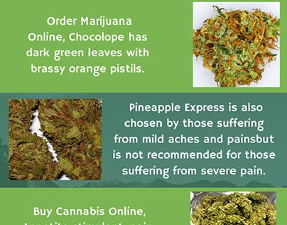 Buy Marijuana From Online Shop - Green Tree Buds