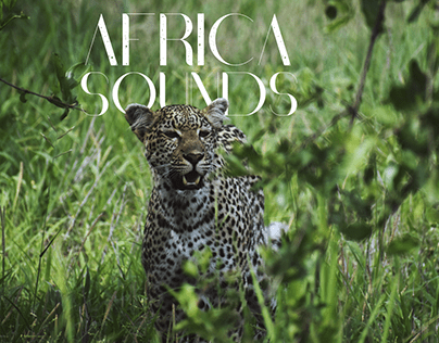 Africa Sounds