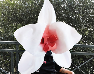 Large Scale Orchid Flowers
