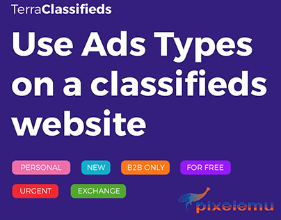 Video guide - how to use Ads Types in TerraClassifieds