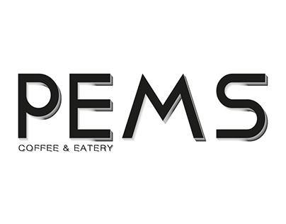 PEMS Logo White Based Design
