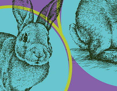 Easter Bunny Ball. Poster illustration and social media