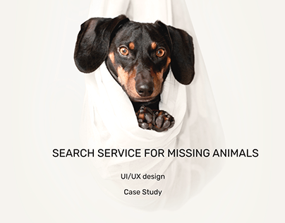 Web Search Service for Missing Animals