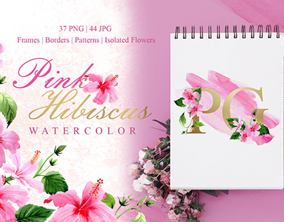 Pink Hibiscus Watercolor PNG