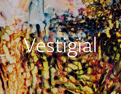 Project thumbnail - Vestigial