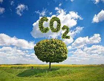 Benefits Of Reducing Carbon Emissions