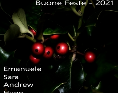 Buone Feste / Season's Greetings 2021