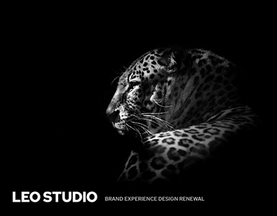 LEO STUDIO Brand Design Renewal