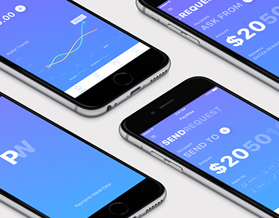 PayWise | iOS Wallet App Concept