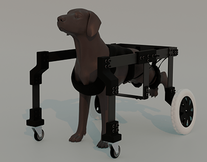 Rex - Dispositivo para cães com baixa mobilidade