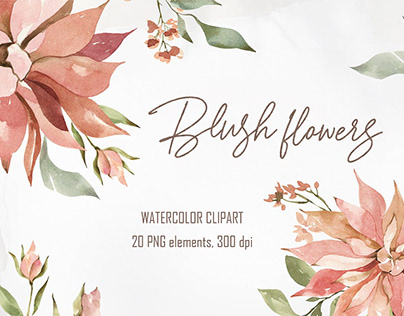 Watercolor Blush flowers clipart. Floral elements